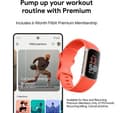 Fitbit Charge 6 AMOLED Activity Tracker Wristband – Coral & Gold thumbnail 8