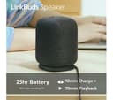 SONY LinkBuds Wireless Bluetooth Portable Speaker - Black thumbnail 8