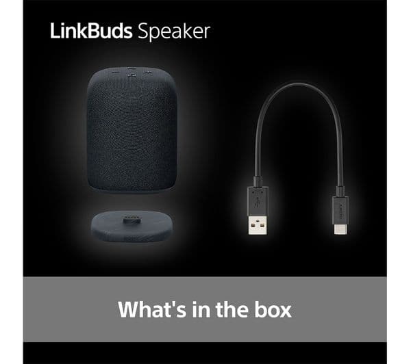 SONY LinkBuds Wireless Bluetooth Portable Speaker - Black - Image 10