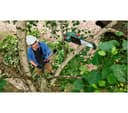 BOSCH UniversalChainPole 18 Pole Saw with 1 Battery - Green thumbnail 2