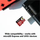 Lexar PLAY PRO 512GB microSDXC Express7.1 Nintendo Switch 2 Memory Card thumbnail 2