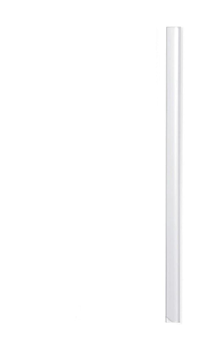 Durable SPINEBAR 2931/19 A4 Spine Bar Slide Binder - 6mm, Capacity 60 Sheets - Transparent (Pack of 50)