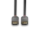 Lindy 1m DisplayPort 1.4 Cable, Anthra Line thumbnail 4