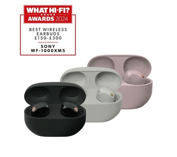 Sony WF-1000XM5 Wireless Earbuds Smokey Pink - Image 3