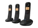 BT Everyday Phone Trio - DECT cordless phone with caller ID and nuisance call blocker, without answer machine, 3 handsets (base + 2 additional) thumbnail 3