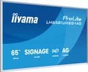 iiyama LH6581UHSG-1AG Signage Display Digital signage flat panel 163.8 cm (64.5") Wi-Fi 500 cd/m² 4K Ultra HD White Built-in processor Android 24/7 thumbnail 4