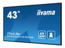 iiyama ProLite LH4360UHS-B2AG 43" Class (42.5" viewable) LED-backlit LCD display - 4K - for digital signage thumbnail 3