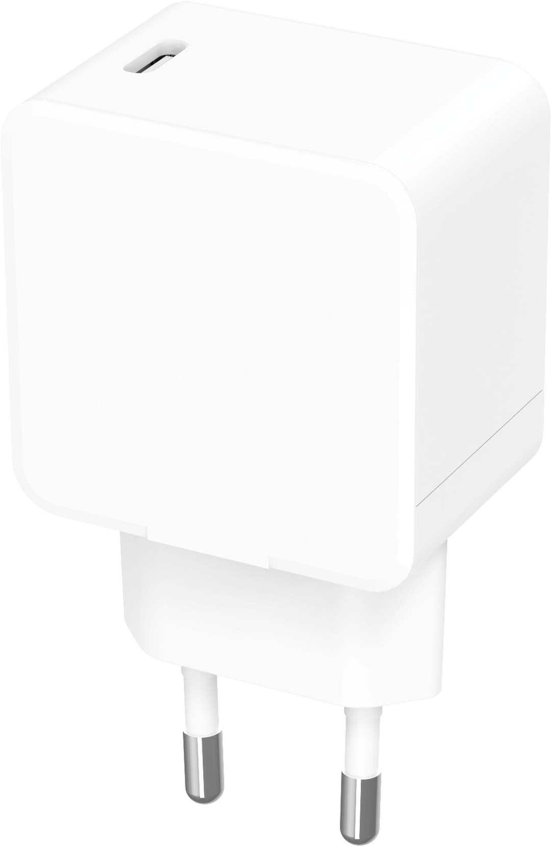 USB-C Power Charger - Image 1