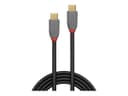 Lindy Anthra Line 1.5m USB 3.2 USB-C to C Cable 20Gbps 4K60 100W PD Black thumbnail 1