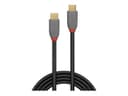 Lindy Anthra Line 1.5m USB 3.2 USB-C to C Cable 20Gbps 4K60 100W PD Black thumbnail 3