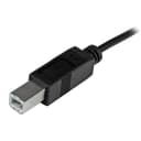 StarTech.com USB-C to USB-B Cable - M/M - 2 m (6 ft.) - USB 2.0 thumbnail 3