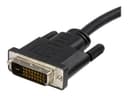 StarTech DisplayPort to DVI-D Converter Cable 10ft Black thumbnail 3