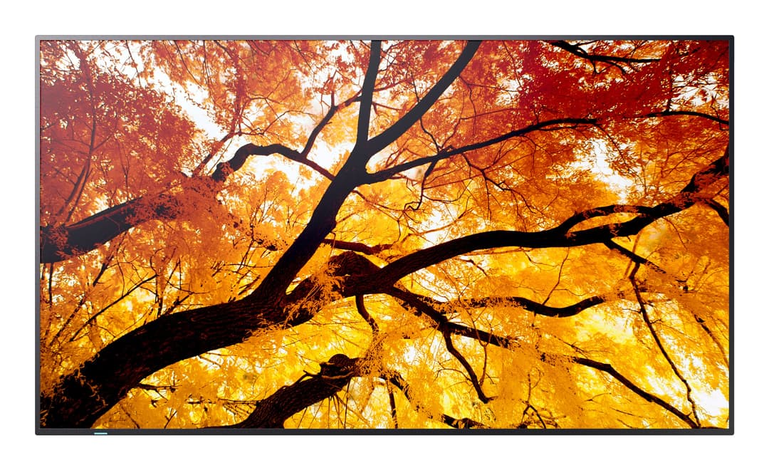 Sharp MultiSync M502 Digital signage flat panel 127 cm (50") LCD 550 cd/m² 4K Ultra HD Black 24/7 - Image 1
