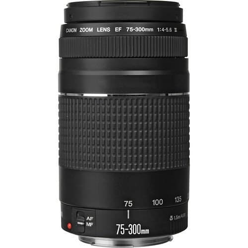 Canon EF 75-300mm f/4-5.6 III Telephoto Zoom Lens - Black - Image 3