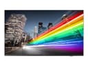 Philips 55BFL2214 55" LED-backlit LCD TV - 4K - for digital signage thumbnail 1