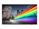Philips 55BFL2214 55" LED-backlit LCD TV - 4K - for digital signage thumbnail 2