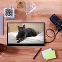 Acer PM161Q Bbmiuux 15.6" FHD IPS USB-C Portable Monitor - Black thumbnail 5