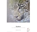 HAHNEMUEHLE Digital FineArt Bamboo A4 290gsm Matte Photo Paper - 25 Sheets thumbnail 3