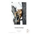 Hahnemühle Digital FineArt ArtLine German Etching 310gsm A4 Matte Photo Paper - 25 Sheets thumbnail 4