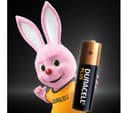 DURACELL Plus AA Alkaline Batteries - Pack of 16 thumbnail 2