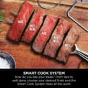 Ninja OG850UK Woodfire Pro XL Electric BBQ Grill & Smoker thumbnail 9