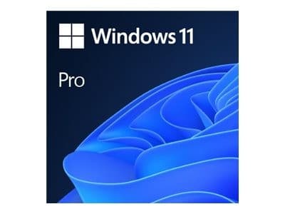 Microsoft Windows 11 Pro - Licence - 1 Licence - OEM - DVD - 64-bit - English