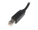 StarTech.com 5m USB 2.0 A to B Cable - M/M thumbnail 3