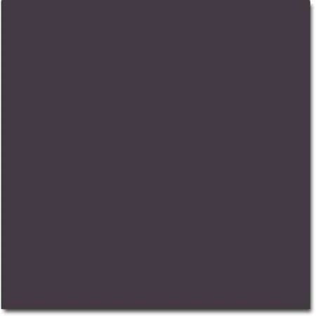 Cokin P 153 Neutral ND4 - Filter - neutral density 4x - gray - Image 5