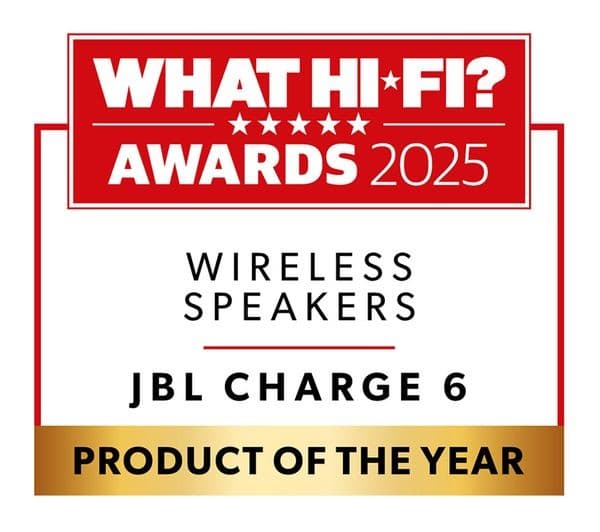 JBL Charge 6 Portable Bluetooth Speaker - Blue - Image 8