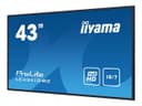 iiyama ProLite LE4341S-B2 43" Class (42.5" viewable) LED-backlit LCD display - Full HD - for digital signage thumbnail 3