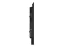 iiyama ProLite LE4341S-B2 43" Class (42.5" viewable) LED-backlit LCD display - Full HD - for digital signage thumbnail 6