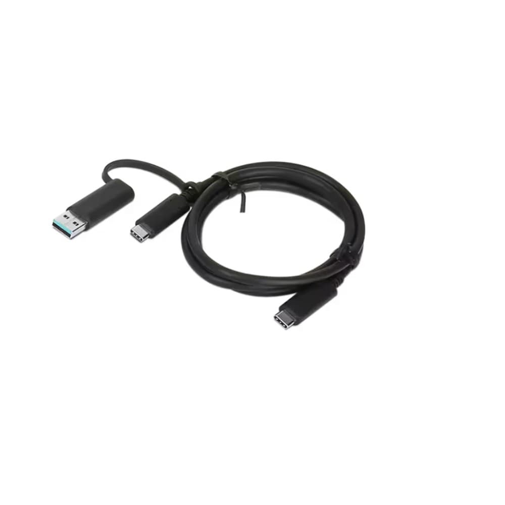 Lenovo Hybrid 4X90U90618 1 Meter USB-C with USB-A Cable Black - Image 1