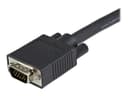 StarTech MXTMMHQ1M VGA Cable 1m thumbnail 5