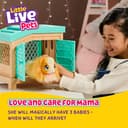 Little Live Pets 26410 Soft, Interactive Mama Guinea Pig and her Hutch, and her 3 Surprise Babies - Multicolour thumbnail 2