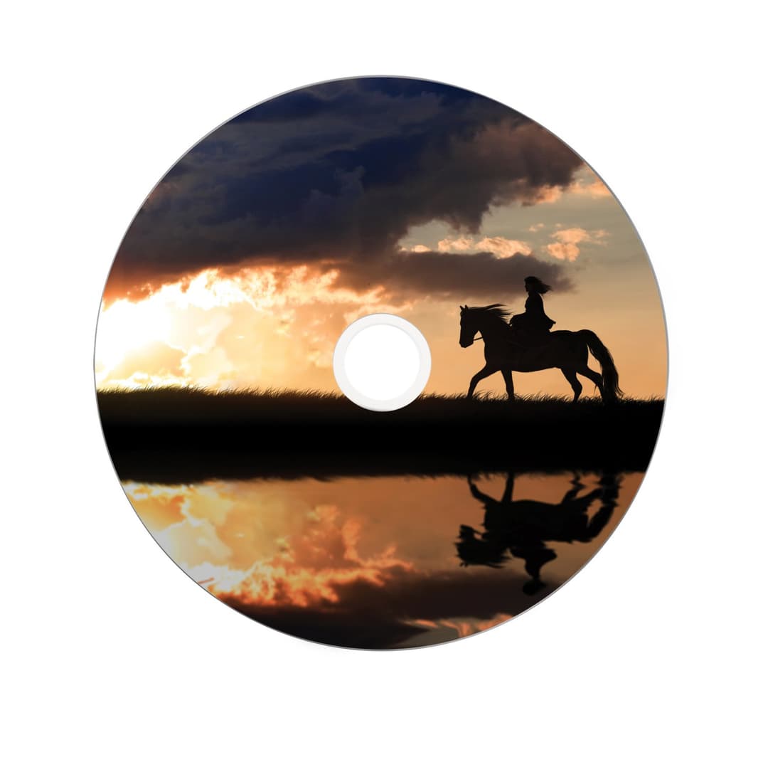 Verbatim 43667 blank DVD 8.5 GB DVD+R DL 25 pc(s) - Image 4