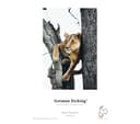 HAHNEMUEHLE Digital FineArt Sample Pack A4 Matte Photo Paper - 12 Sheets thumbnail 6