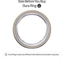 Oura Ring 4 Smart Ring - Gold, Size 10 thumbnail 2