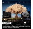HISENSE 110UXNQTUK 110" Smart 4K Ultra HD HDR Mini LED TV with Amazon Alexa thumbnail 6