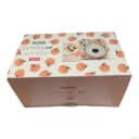 Instax Mini 9 Skinny Dip Peachy Bundle thumbnail 1