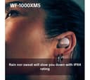 Sony WF-1000XM5 Wireless Earbuds Smokey Pink thumbnail 10