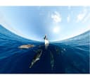 GoPro Max 360 Action Camera thumbnail 10
